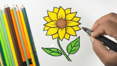 Easy:8k5w6zpyigq= Sunflower Drawing