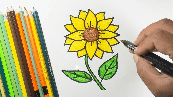 Easy:8k5w6zpyigq= Sunflower Drawing