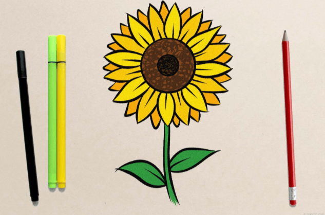 Easy:8k5w6zpyigq= Sunflower Drawing