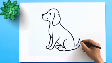 Easy:3rgbruczobg= Dog Drawing