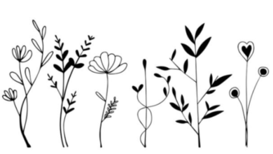 Clipart:5ftz0amu-Rq= Outline:-Ytl2dttkty= Flowers