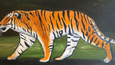 Art:5t7ffyrrwis= Tigers