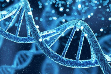 Learning Through Art: Dna Profiling