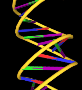 Learning Through Art: Dna Structure