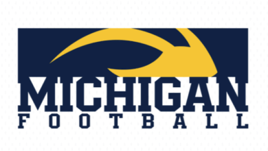 Logo:34nudidlysi= Michigan Football