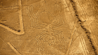 Outline:0rldijypkju= Nazca Lines