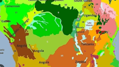 Map:9q9d-Eto2uy= Congo Rainforest