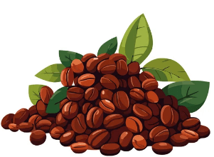 Vector:5chmtr_Mequ= Coffee Beans