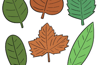 Clipart:5oesxuispmg= Leaf