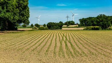 transforming industry through innovation