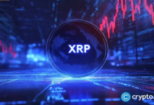 XRP Price in 2025: Will the Bull Market Continue?